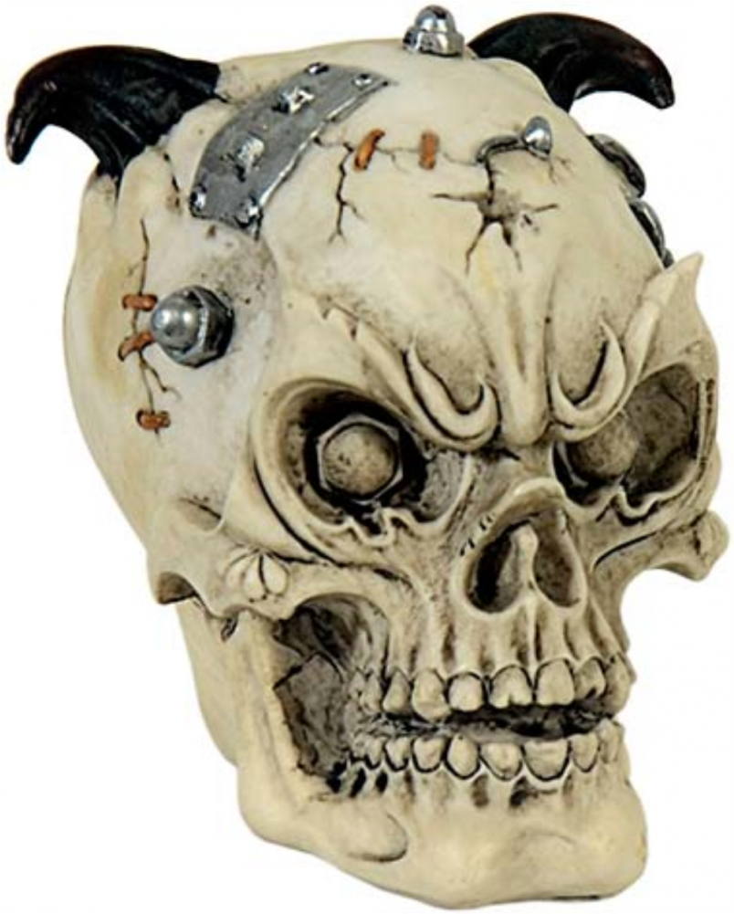 More Views - Skull (1000x1000), Png Download
