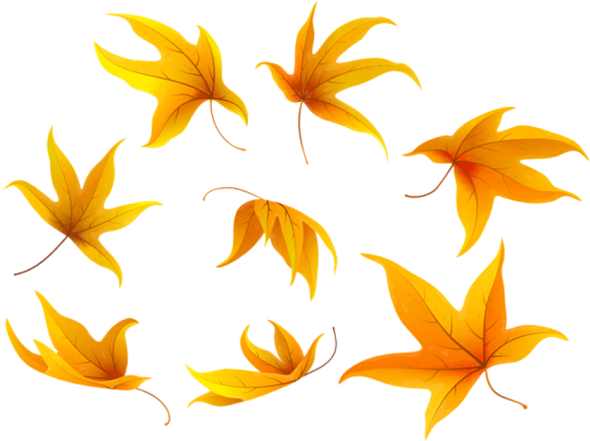 Fall Leaves Png - Portable Network Graphics (850x638), Png Download