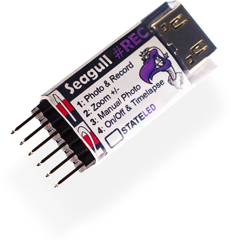 Srec Nobg Shaddow - Eye Liner (800x800), Png Download