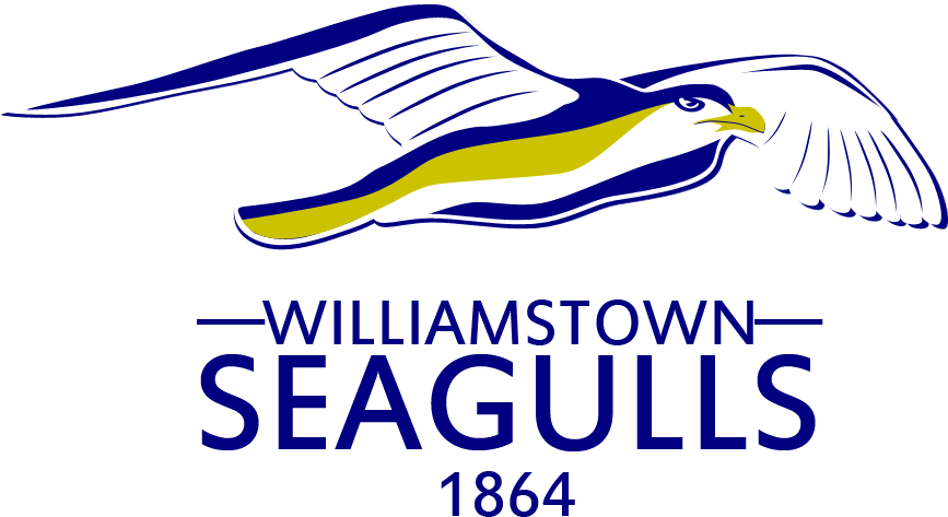 Williamstown Seagulls - Larry Crowne Movie Poster (866x866), Png Download