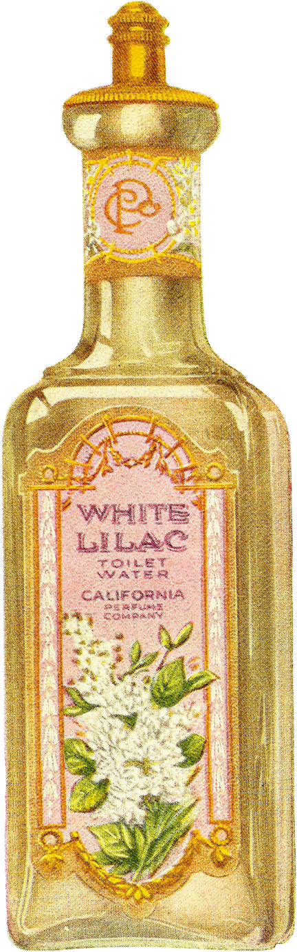 Digital Perfume Bottle Download - Bottle (711x1600), Png Download