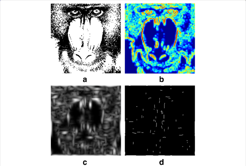 Contour Extraction Result - Energy (850x574), Png Download