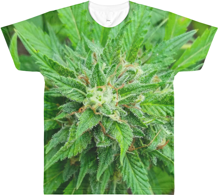 Image Of Jaimaca Weed Pillow / Mug / All Over Shirt - Cannabis (800x800), Png Download
