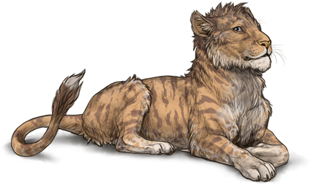 3hwgizb " - Png Female Lion Hd (640x500), Png Download