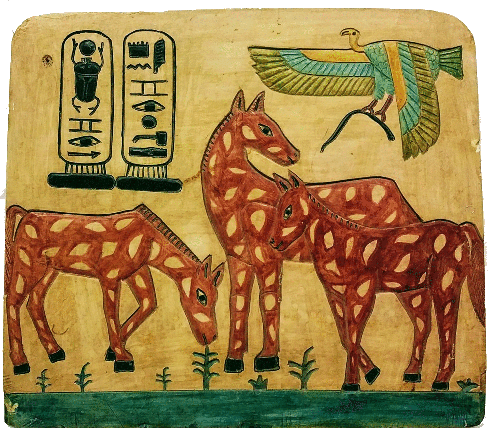 Custom Gift - Gift (1026x877), Png Download