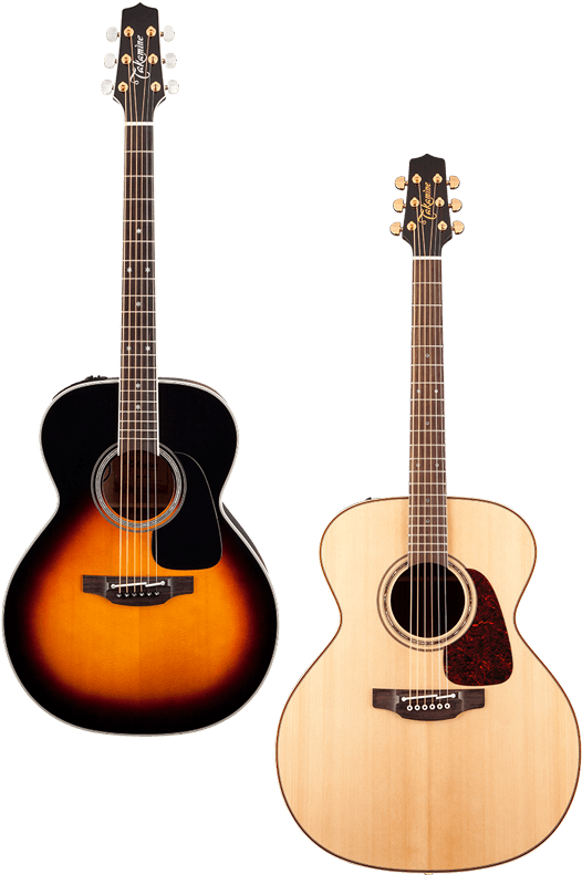 Takamine Guitars Worldwide - Takamine 12 String Pro Series 1 (530x800), Png Download