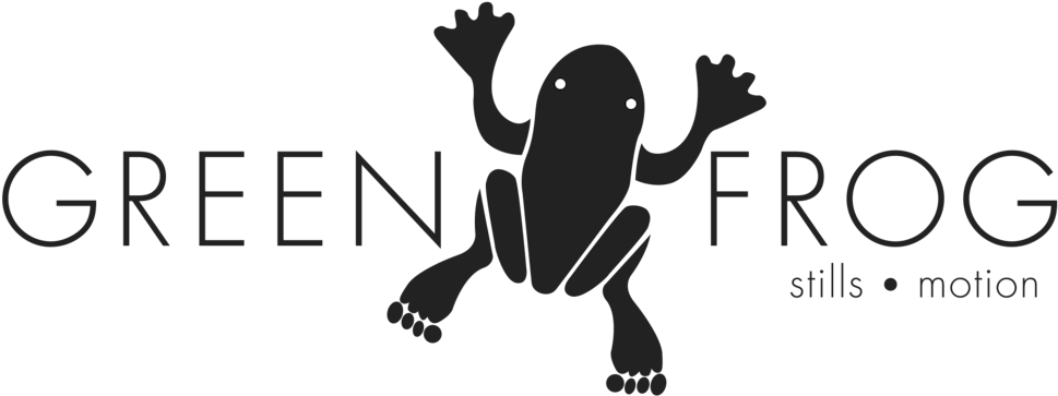 Green-frog - Toad (1000x373), Png Download