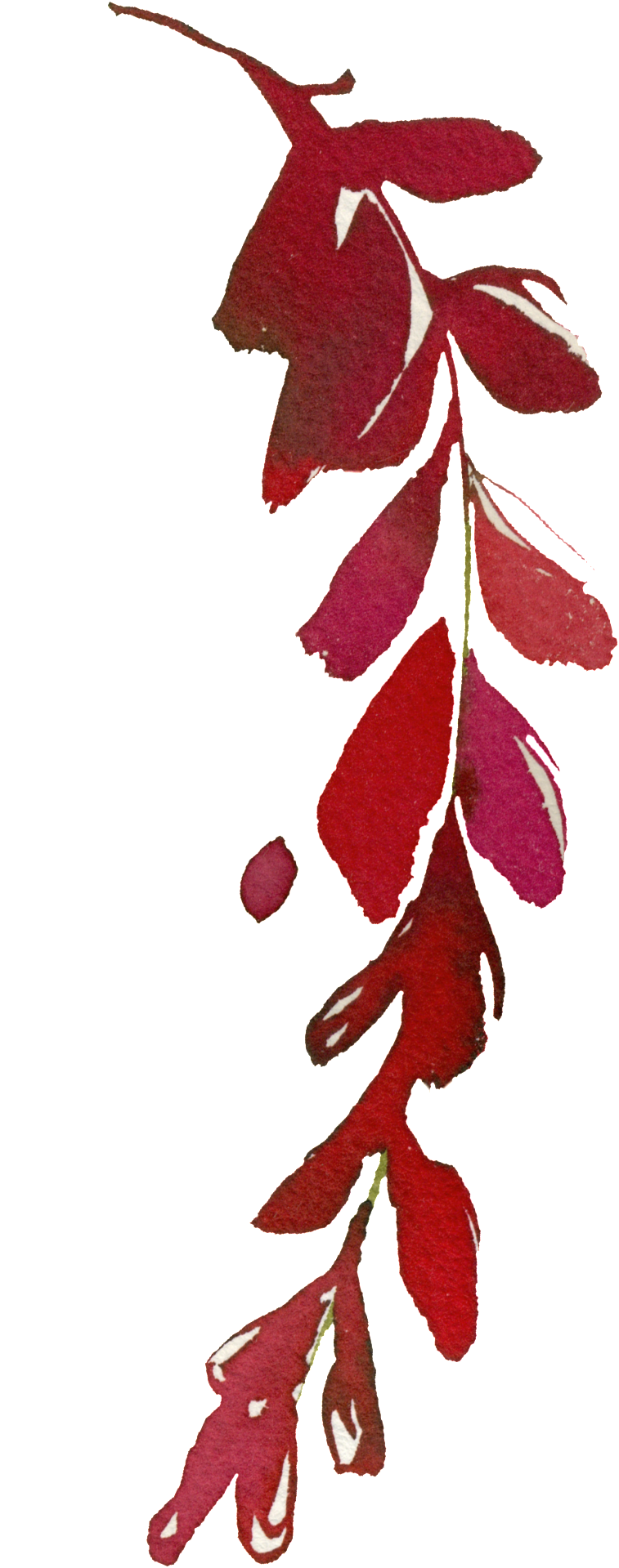 Este Gráficos É Hand Painted Bright Red Leaves Png - Red (1024x2048), Png Download