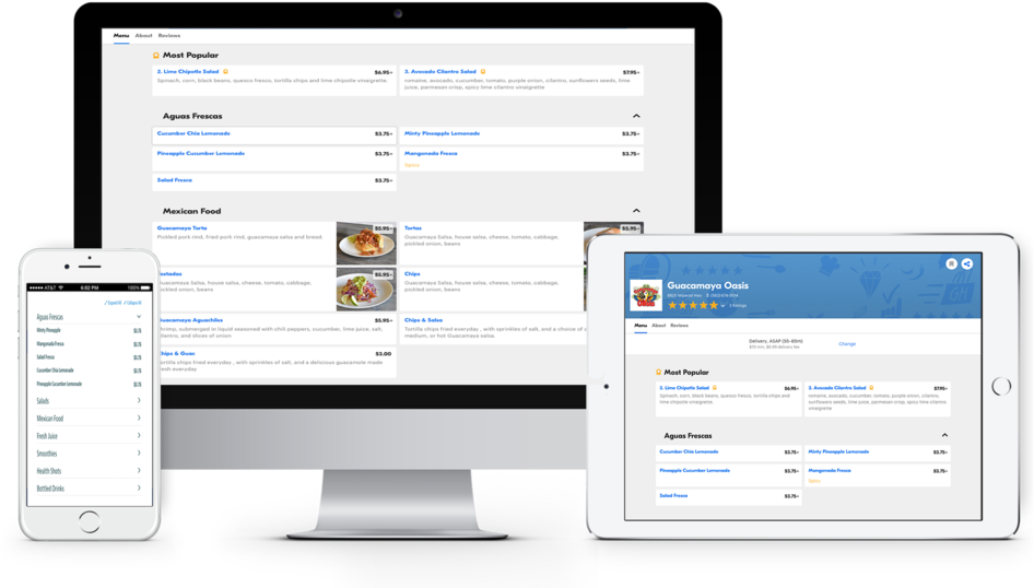 Guacamaya Order Online - Computer Icon (1000x571), Png Download