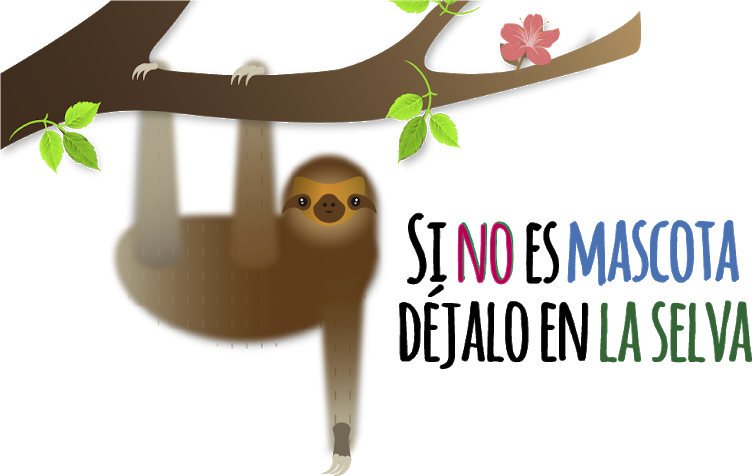 Animales Silvestres - Christmas Tree (752x476), Png Download