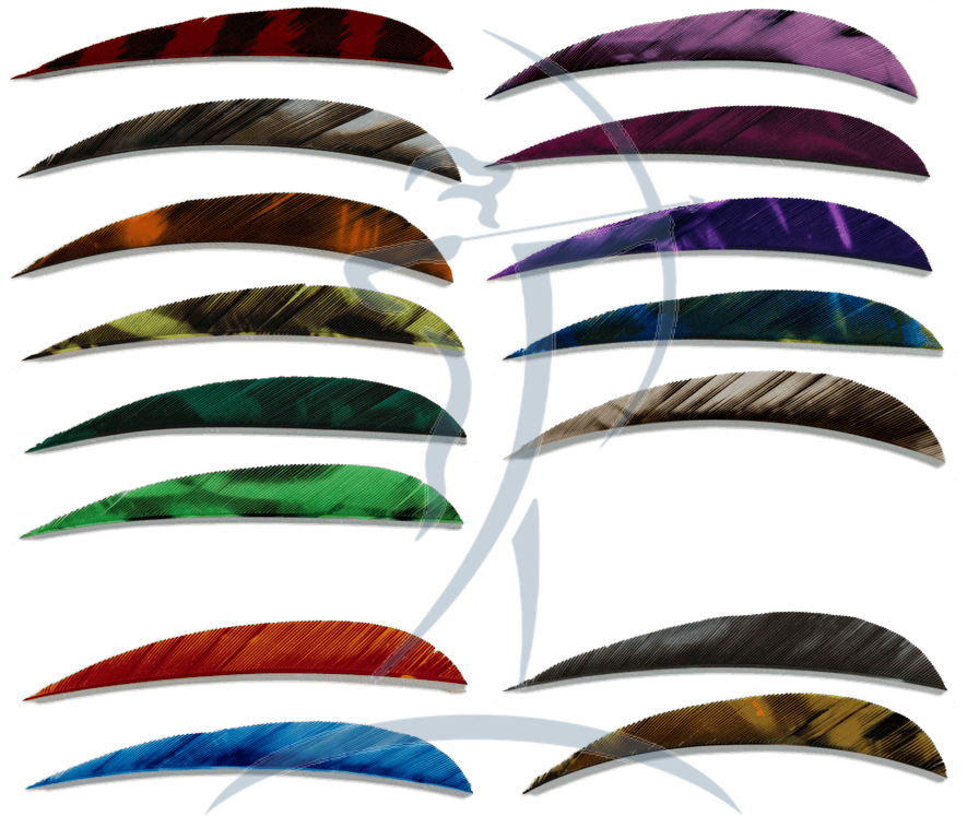 Ozark Feathers 4" Rw - Crossbow (900x900), Png Download