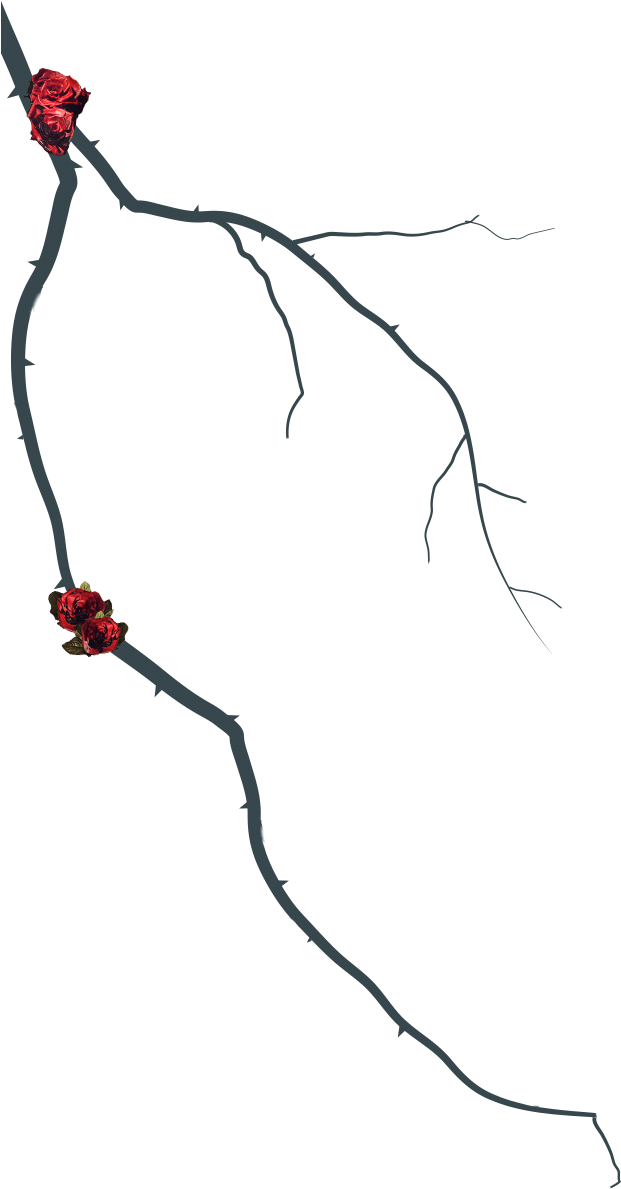 Slick Woods (750x1188), Png Download