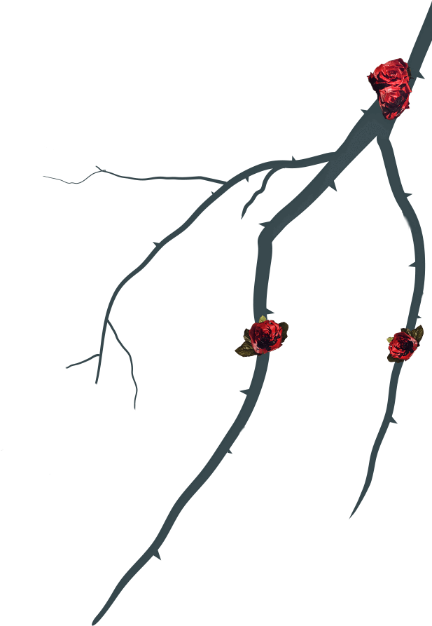 Alpha - Twig (750x892), Png Download