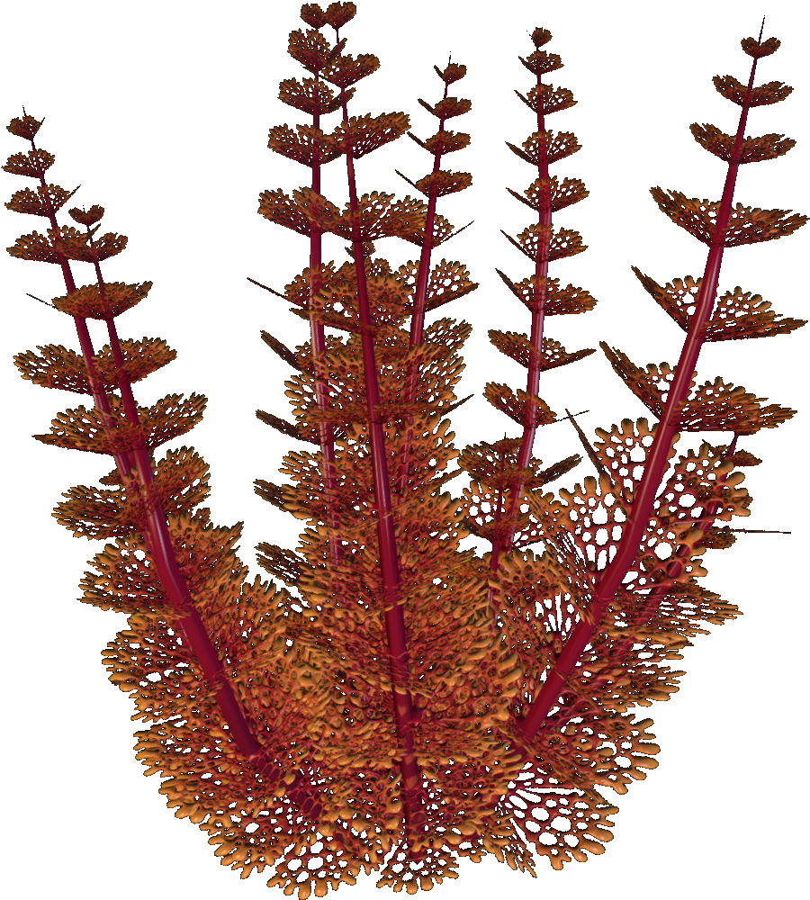Redwort - Wiki (1080x1080), Png Download