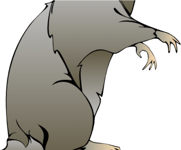 Cartoon Rat Pictures - Rat Clip Art (640x480), Png Download