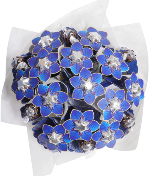 Hydrangea (600x600), Png Download