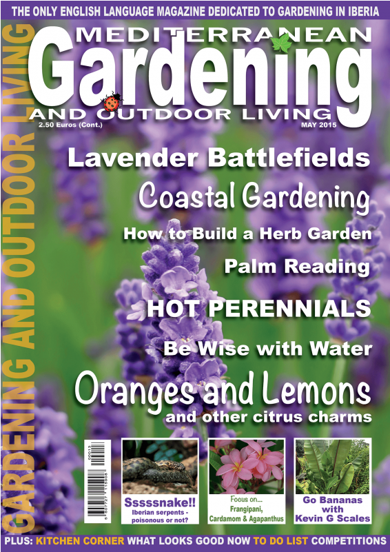 Click Image For Gallery - Lavender Flowers (800x800), Png Download