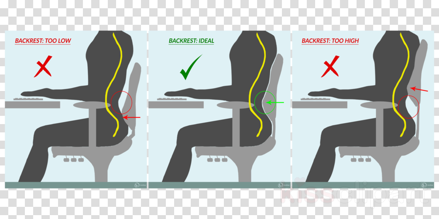 Lower Back Support For Chair Clipart Office & Desk (900x450), Png Download