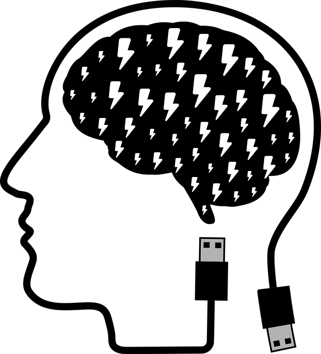 Cabeça Humana Png - Brain Head Clip Art (653x720), Png Download