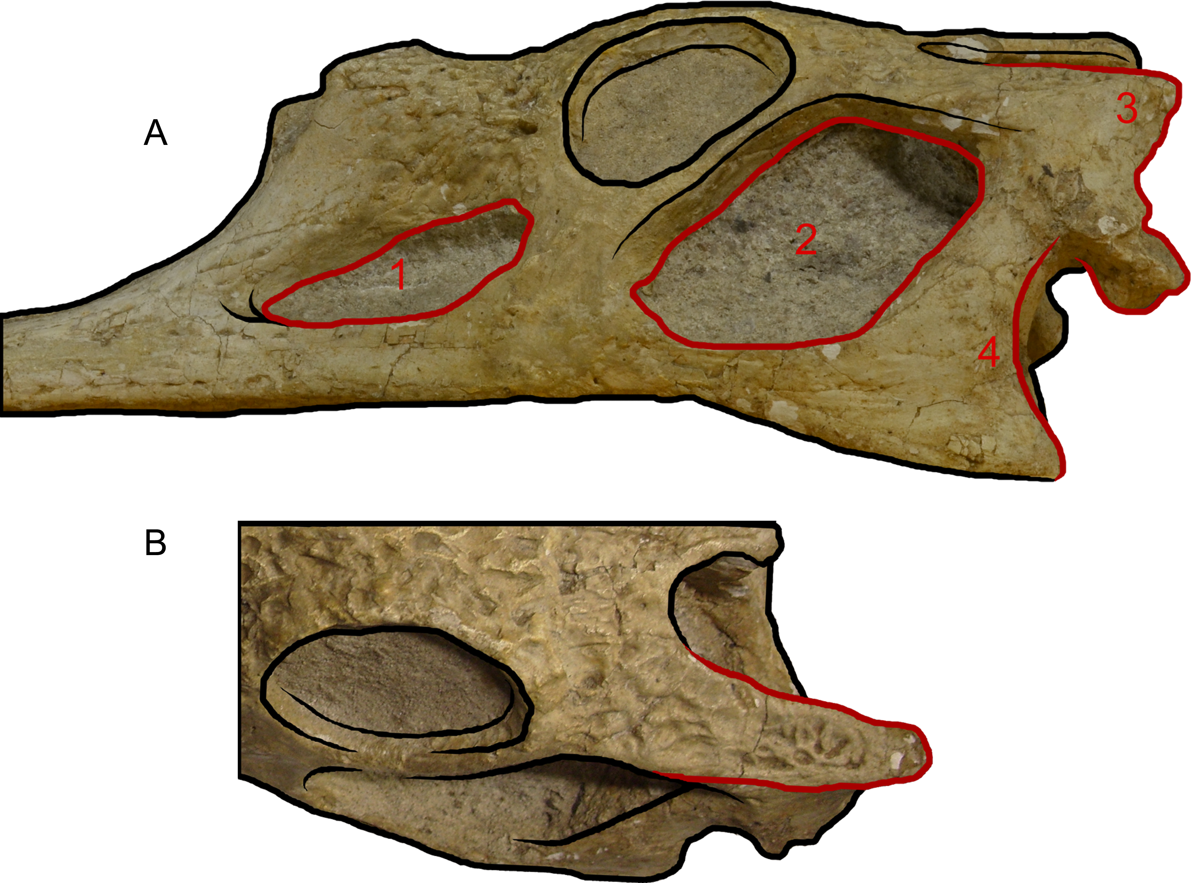 Download - Rock (3877x2876), Png Download