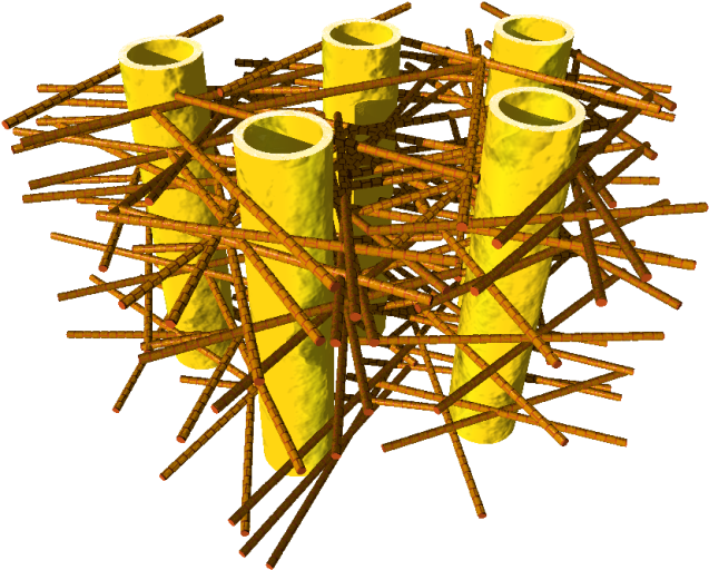 Illustration Of The Complex Biostructure Of Dentin (788x591), Png Download