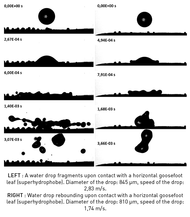 Waterdrop Fragment - Parallel (620x710), Png Download