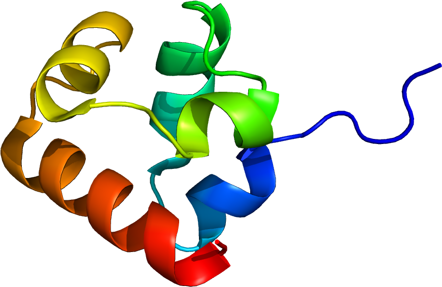 Cytosol (1200x1000), Png Download