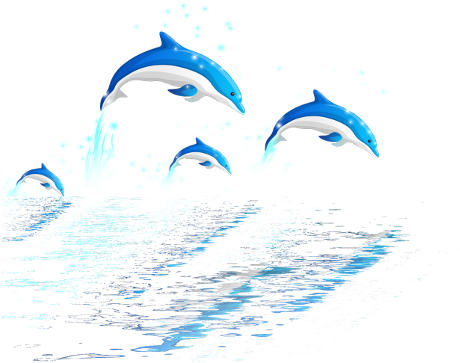 Dolphin (678x480), Png Download