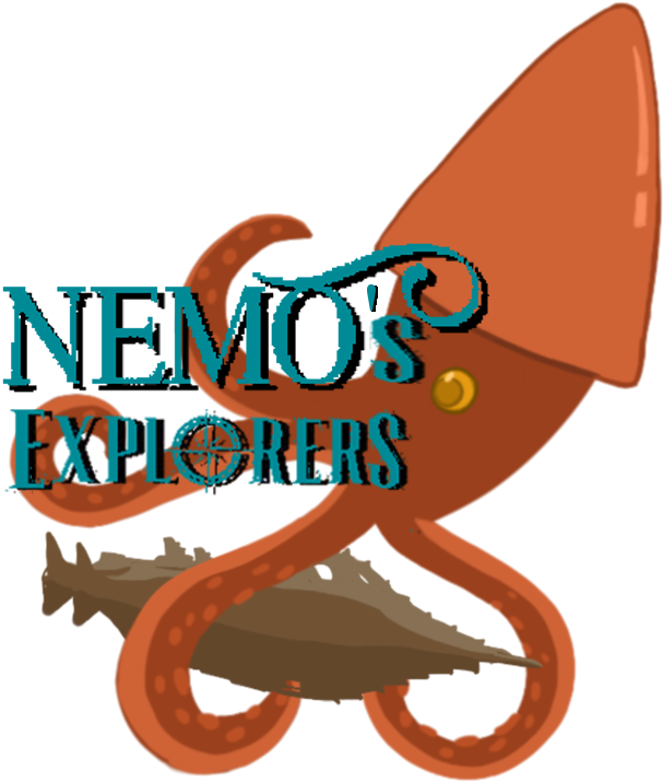 Nemo's Explorers Is A Tribute To 20,000 Leagues Under - Illustration (732x792), Png Download