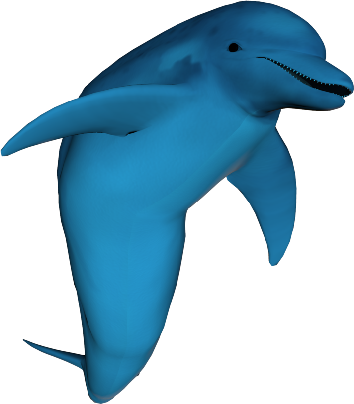 3d Dolphin Png Clipart Free - Stock Photo Dolphin (966x826), Png Download