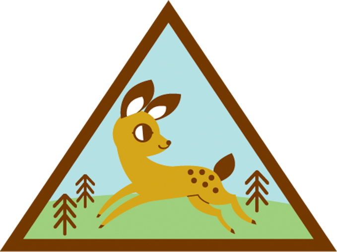 From Astronaut Jan Davis And Award-winning Entertainer - Brownie Eco Friend Badge (679x508), Png Download