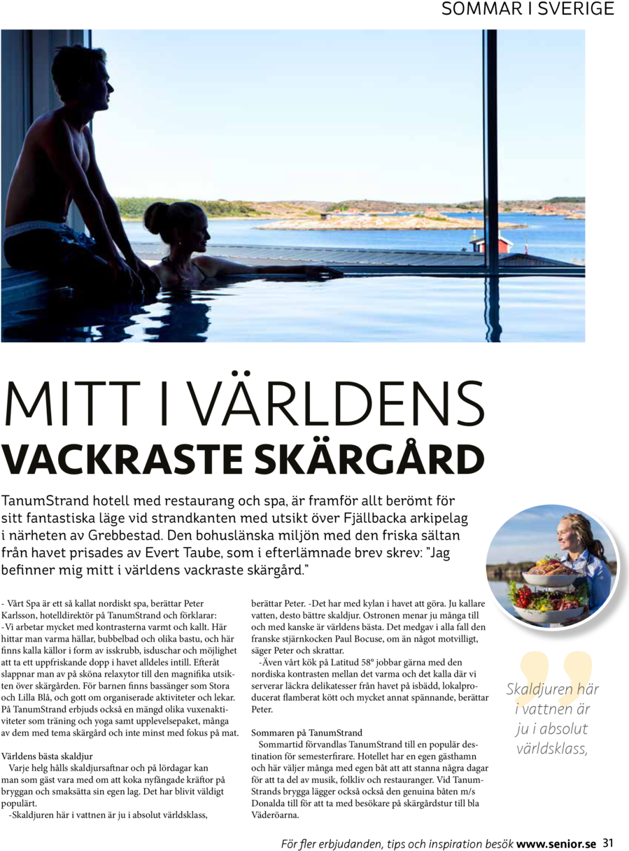 Sommar I Sverige Mitt I V Rldens Vackraste Sk Rg Rd - Flyer (960x1252), Png Download