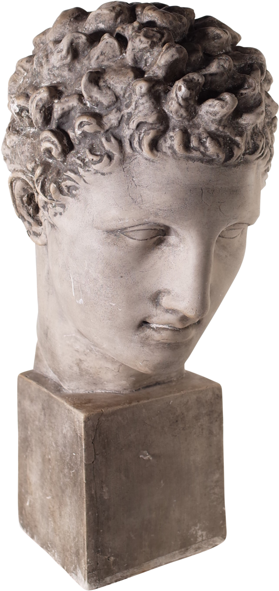 Grand Tour Museum Souvenir Plaster Bust Of David - Museum (1024x1395), Png Download