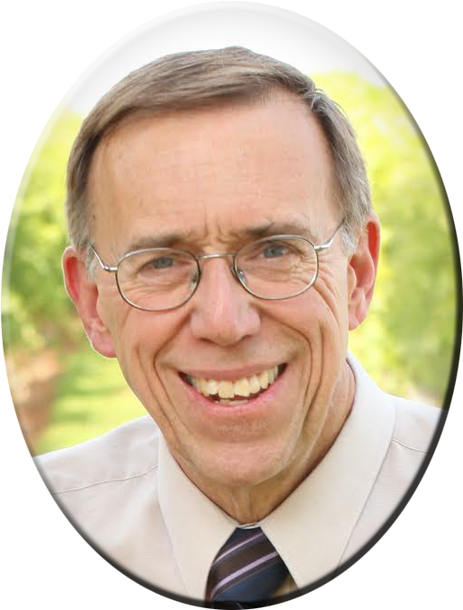 Share Using - - Obituary (524x688), Png Download