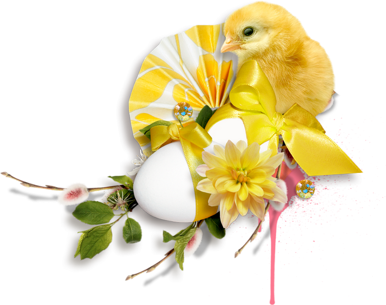 Duck (760x600), Png Download