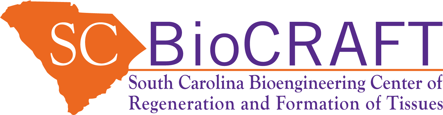 The Clemson University Biomedical Engineering Innovation - Chess Kids (1599x466), Png Download