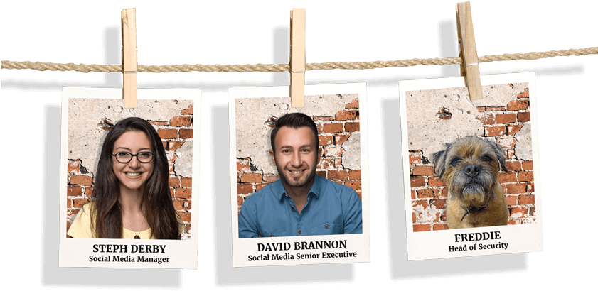 Team Mobile Line5 - Irish Soft-coated Wheaten Terrier (840x423), Png Download