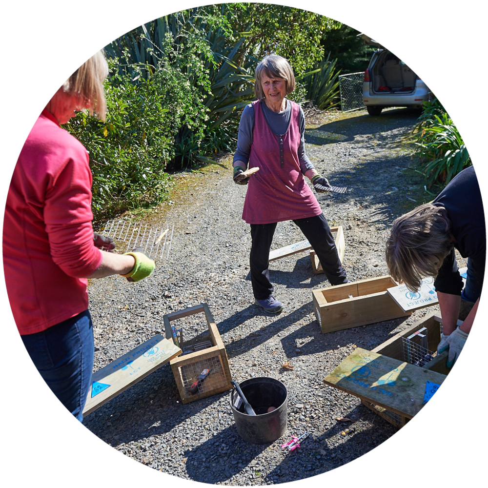 Circles For Predator Free Action3 (1000x1000), Png Download