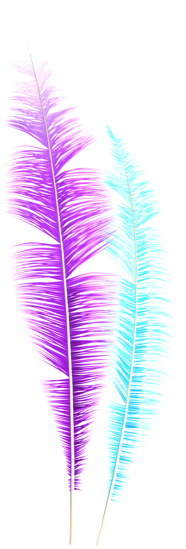 Dream Feather Png - Grass (1024x2048), Png Download