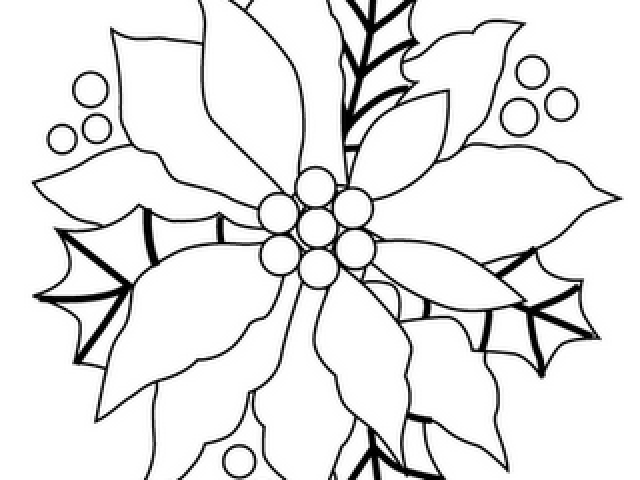 Poinsettia Clipart Black And White (640x480), Png Download