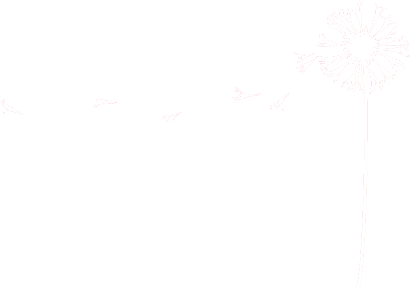 Dandelion - Portfolio (845x590), Png Download