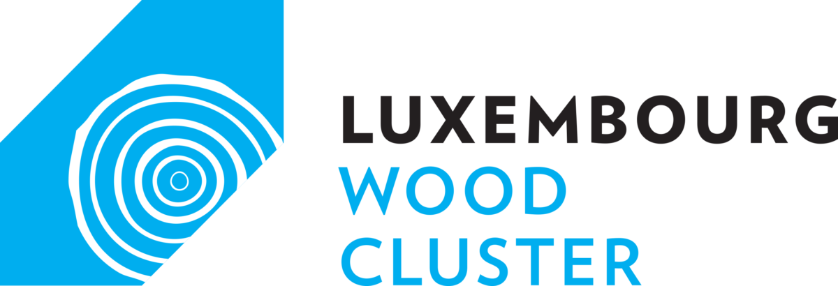 Luxembourg Ict Cluster (1200x410), Png Download