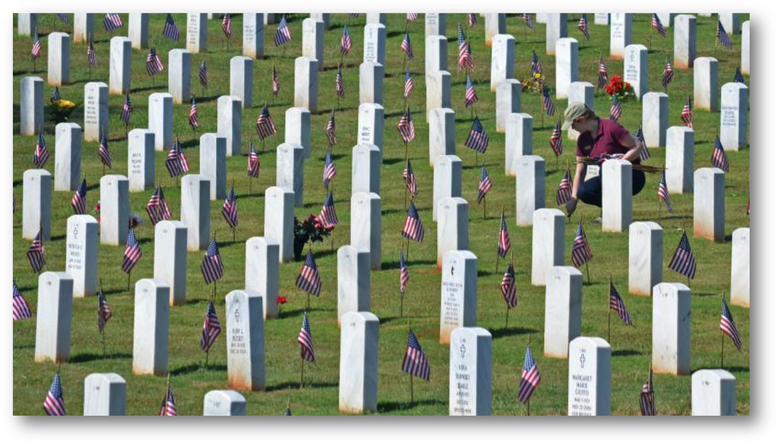 Grass (1100x632), Png Download