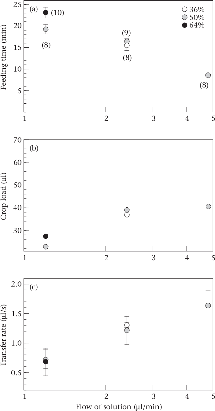 Number Of Considered Bees In Parenthesis - Number (717x1347), Png Download