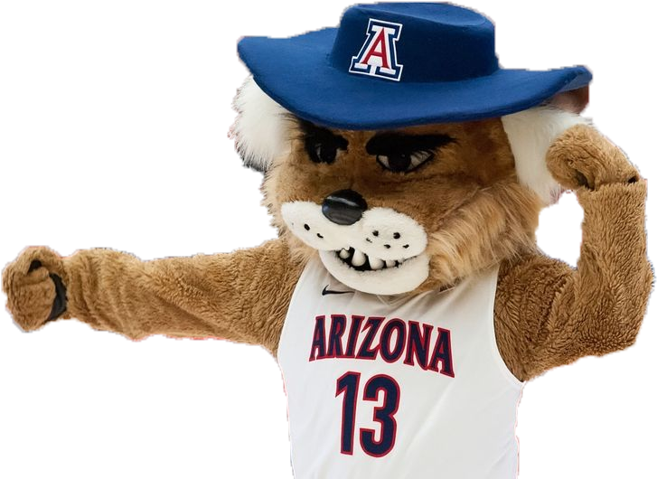 Global Wildcat Sports Series - University Of Arizona Wilbur (806x560), Png Download