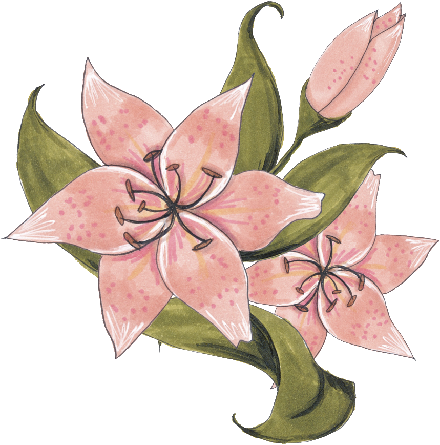 Download 手絵2輪の花がpngの透明な素材 唯美 美しい Cartoon Png Image With No Background Pngkey Com Download 手絵2輪の花がpngの透明な素材 唯美 美しい Cartoon Png Image With No Background Pngkey Com