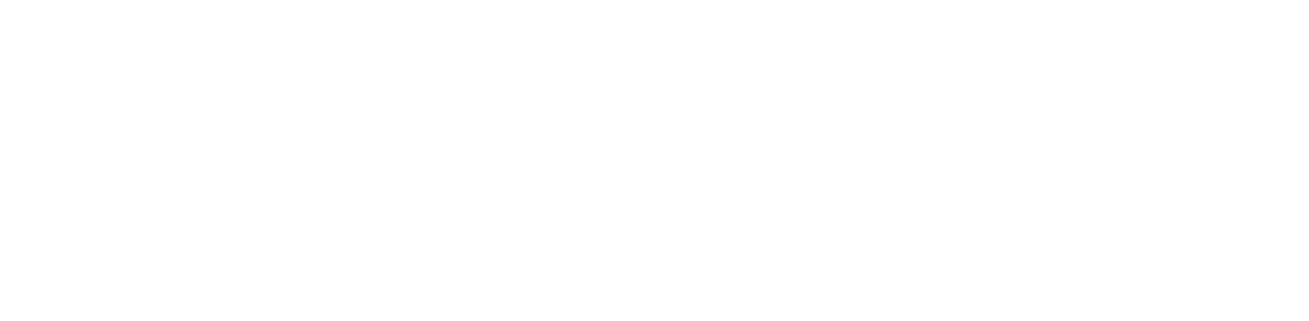 Liger Blanco Descriptor - Graphics (2133x619), Png Download