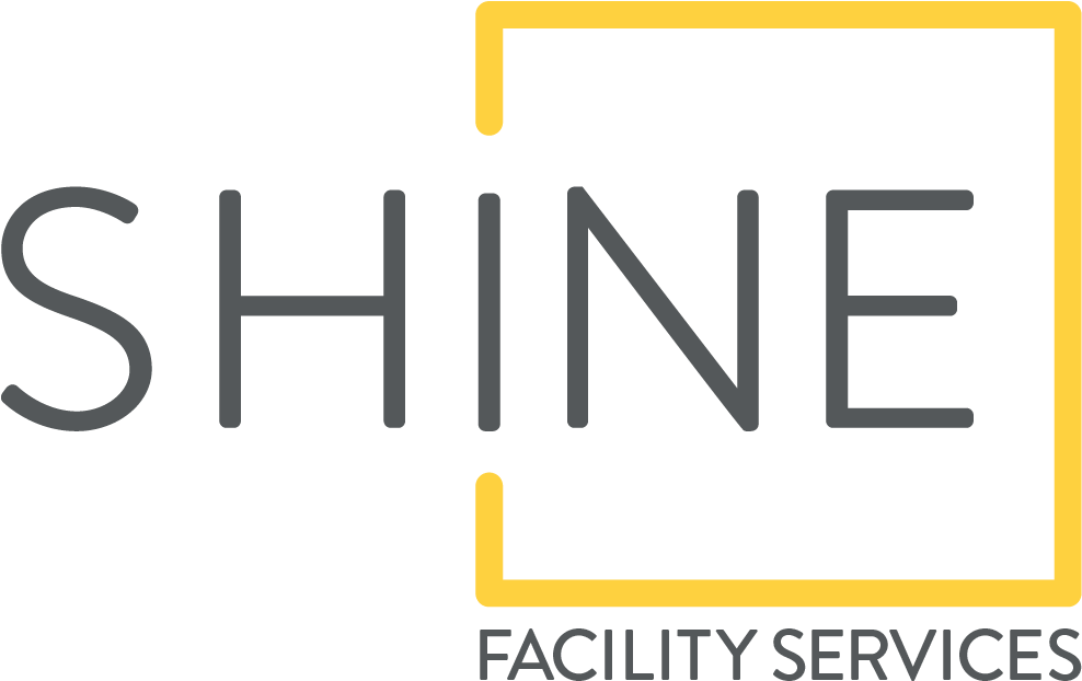 Shine2 (990x646), Png Download