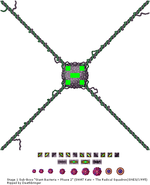 Giant Bacteria - Diagram (516x633), Png Download