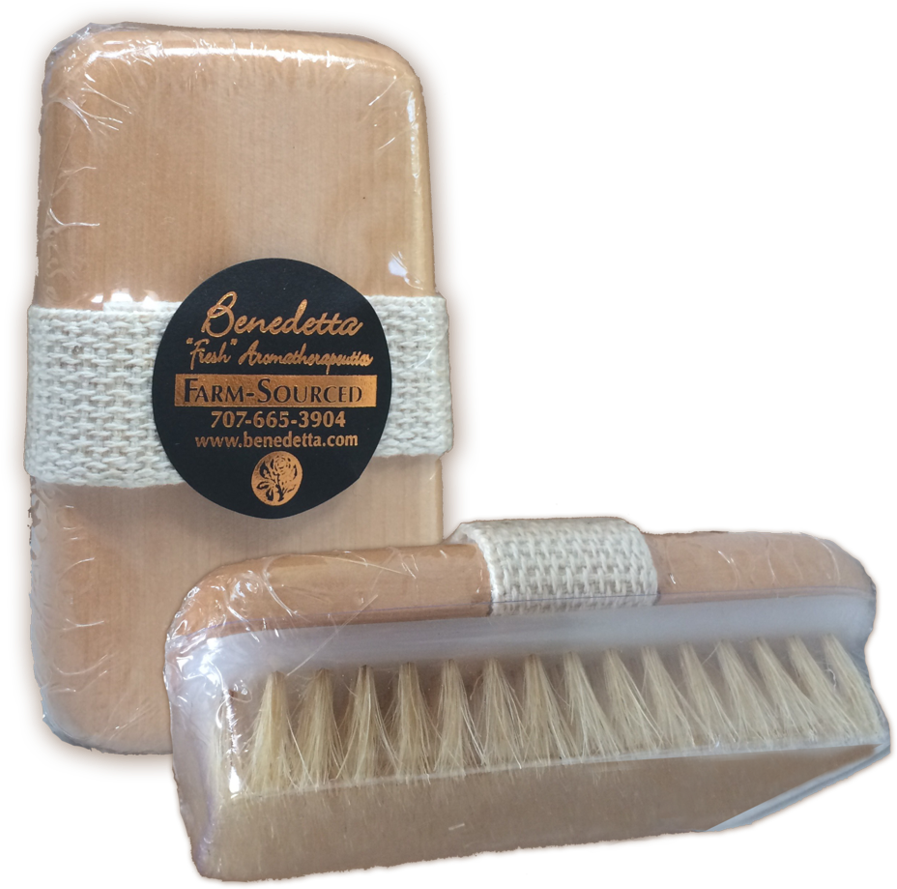 Dry Brush Exfoliator - Brush (1160x1160), Png Download